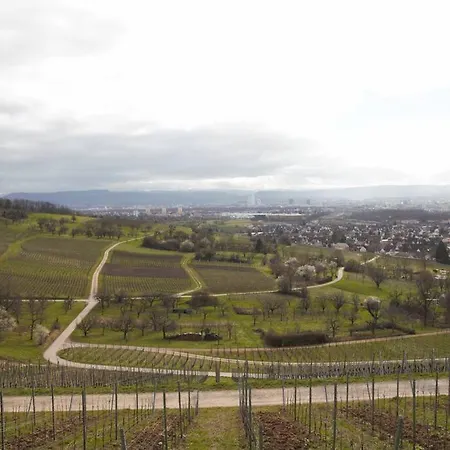 Wohlfuehloase Im Dreilaendereck Apartament